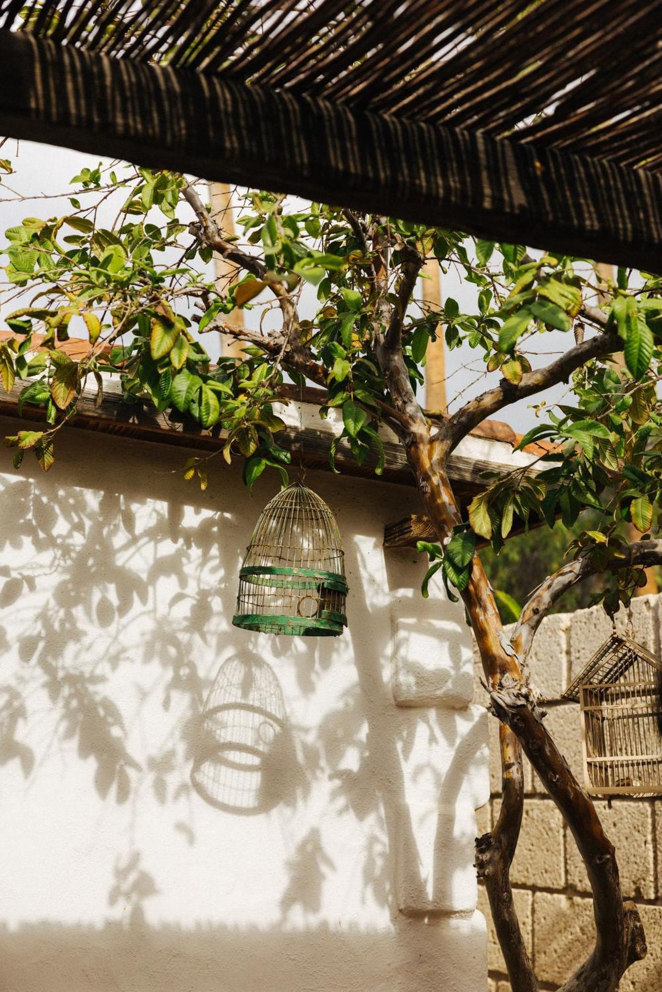 Casa Jable Nueva Villa Costa Adeje Dış mekan fotoğraf